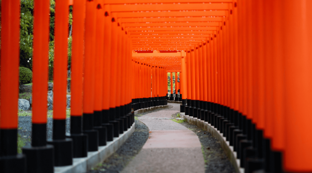 Winding torii gates follow the path at a Shinto shrine